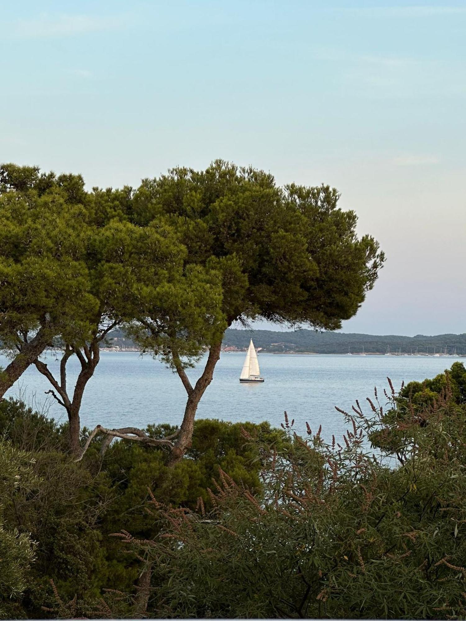 L'instant - Vue - Bord De - La Capte - Cote D'azur
