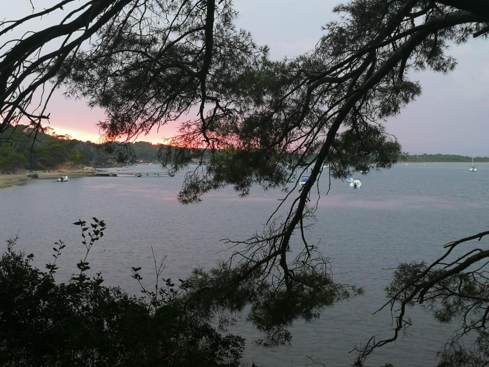 L'instant - Vue - Bord De - La Capte - Cote D'azur Appartement *